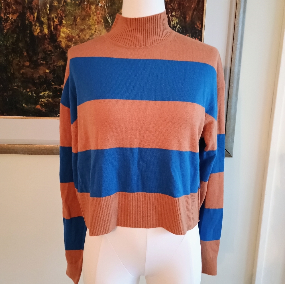 NWT Everlane Cropped Striped Sweater